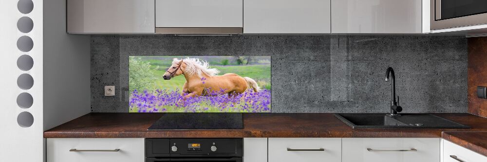 Panel lacobel Koń na polu lawendy