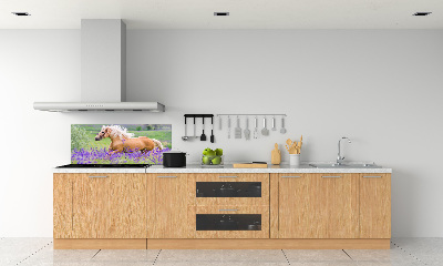 Panel lacobel Koń na polu lawendy