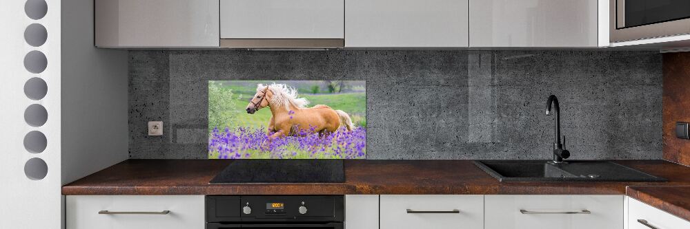 Panel lacobel Koń na polu lawendy