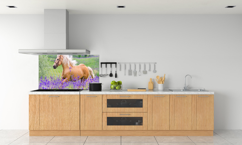 Panel lacobel Koń na polu lawendy