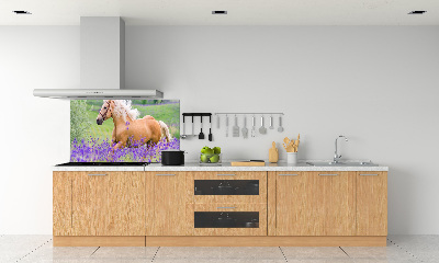 Panel lacobel Koń na polu lawendy