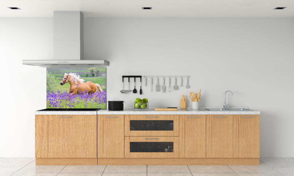 Panel lacobel Koń na polu lawendy