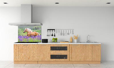 Panel lacobel Koń na polu lawendy