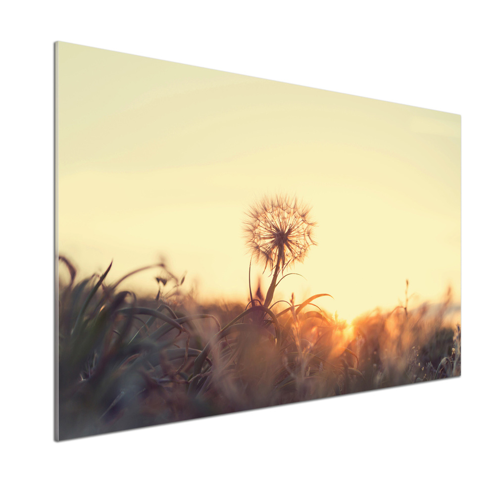 Panel dekor szkło Dmuchawiec