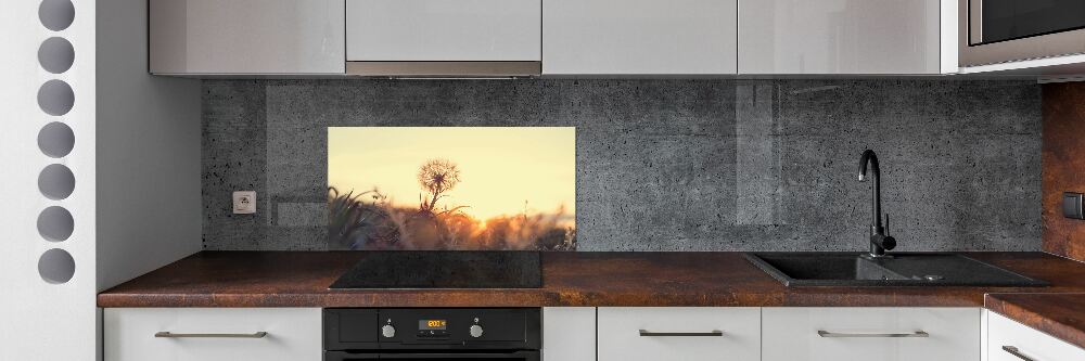 Panel dekor szkło Dmuchawiec