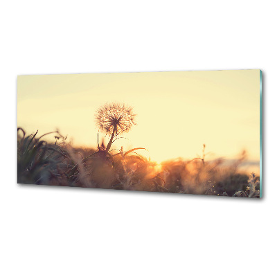 Panel dekor szkło Dmuchawiec