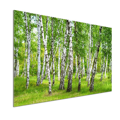 Panel dekor szkło Brzozowy las