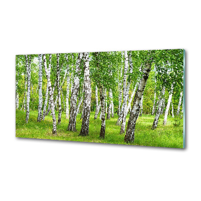 Panel dekor szkło Brzozowy las