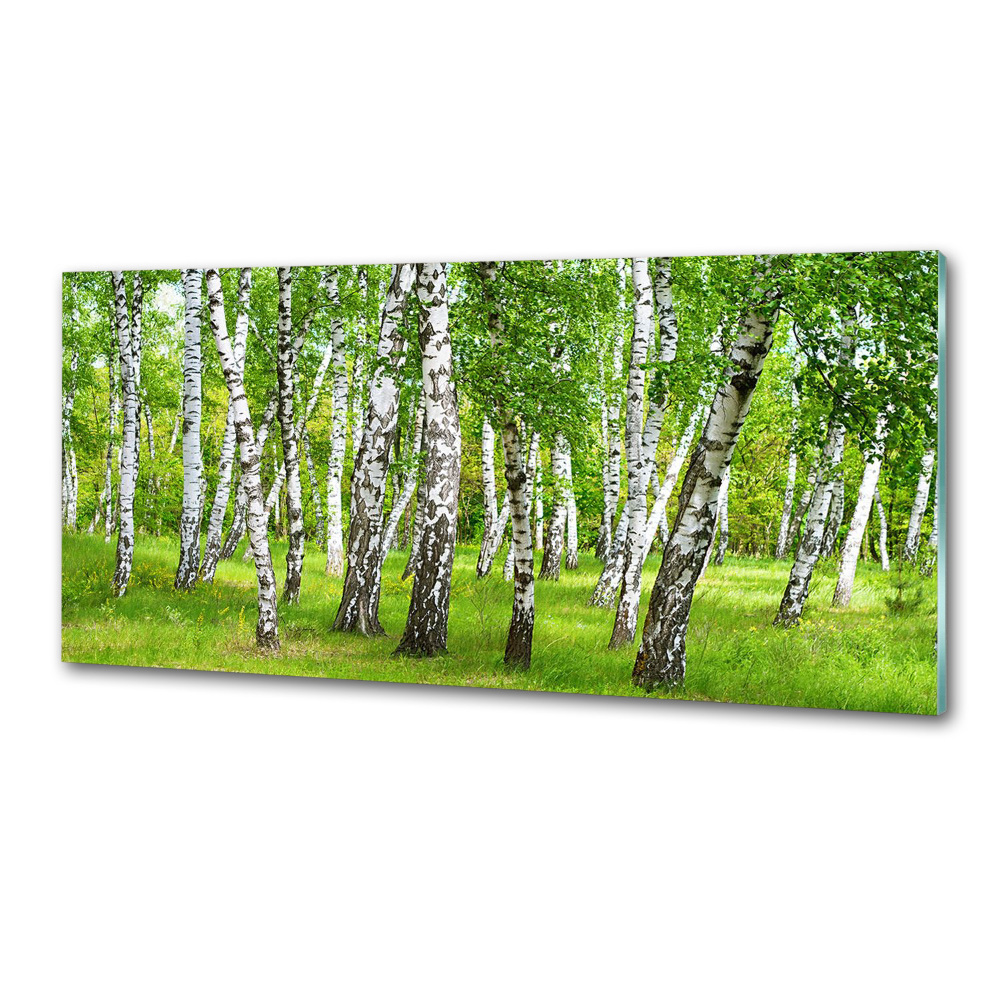 Panel dekor szkło Brzozowy las