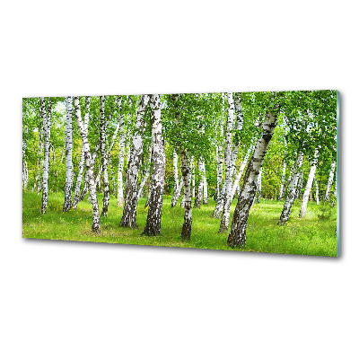 Panel dekor szkło Brzozowy las