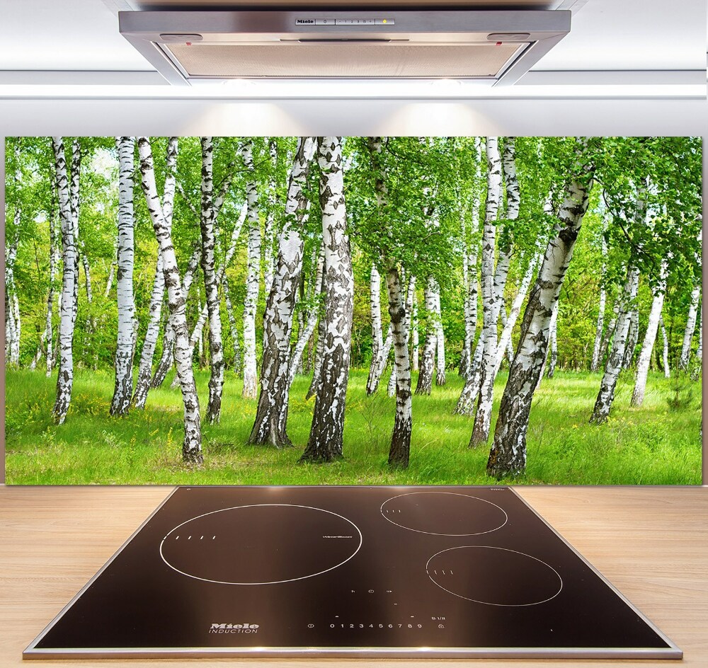 Panel dekor szkło Brzozowy las