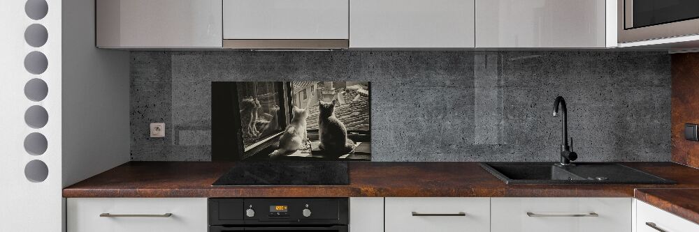 Panel do kuchni Koty przy oknie