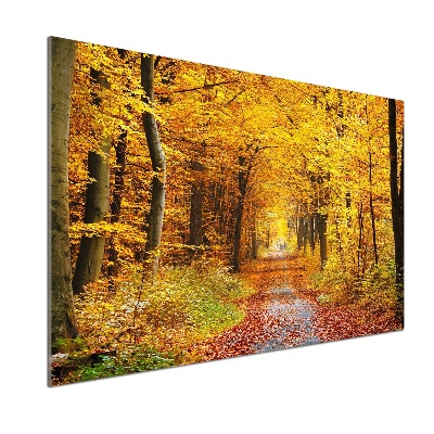 Panel dekor szkło Las jesienią