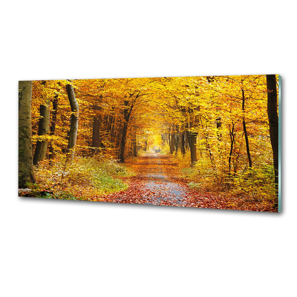 Panel dekor szkło Las jesienią