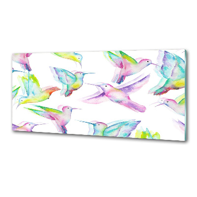 Panel szklany do kuchni Kolibry