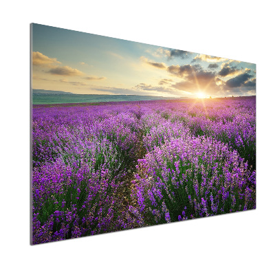 Panel dekor szkło Pole lawendy