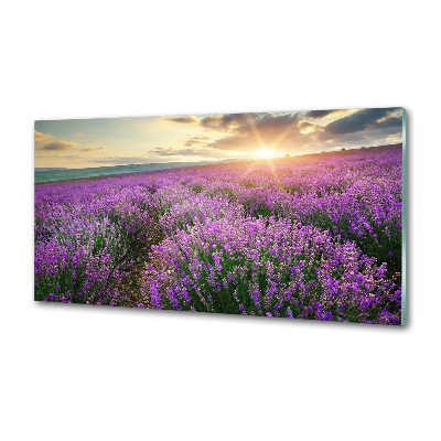 Panel dekor szkło Pole lawendy