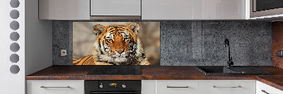 Panel do kuchni Tygrys bengalski
