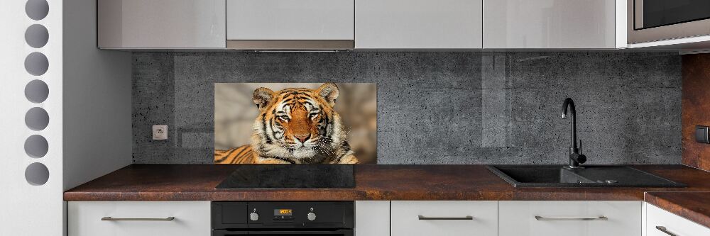 Panel do kuchni Tygrys bengalski