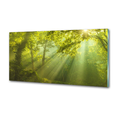 Panel dekor szkło Las w słońcu