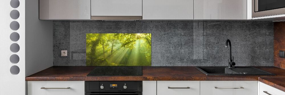 Panel dekor szkło Las w słońcu