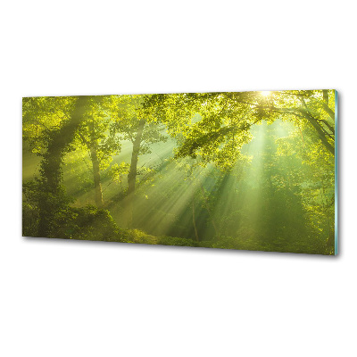 Panel dekor szkło Las w słońcu