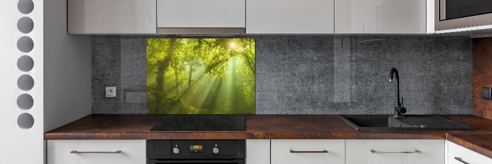 Panel dekor szkło Las w słońcu