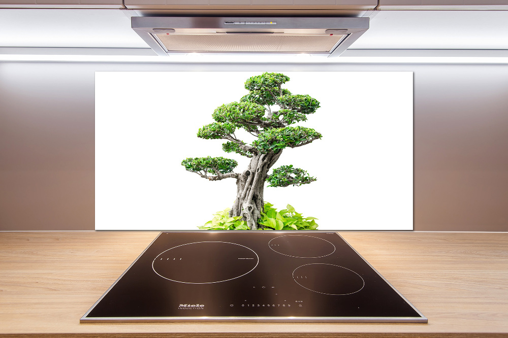 Panel do kuchni Drzewo bonsai