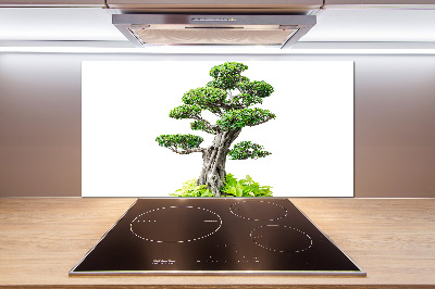 Panel do kuchni Drzewo bonsai