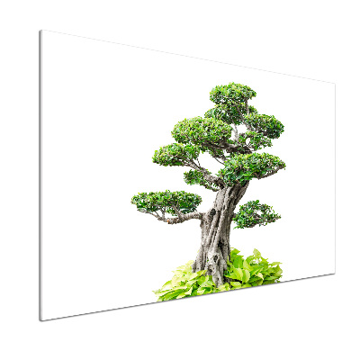 Panel do kuchni Drzewo bonsai
