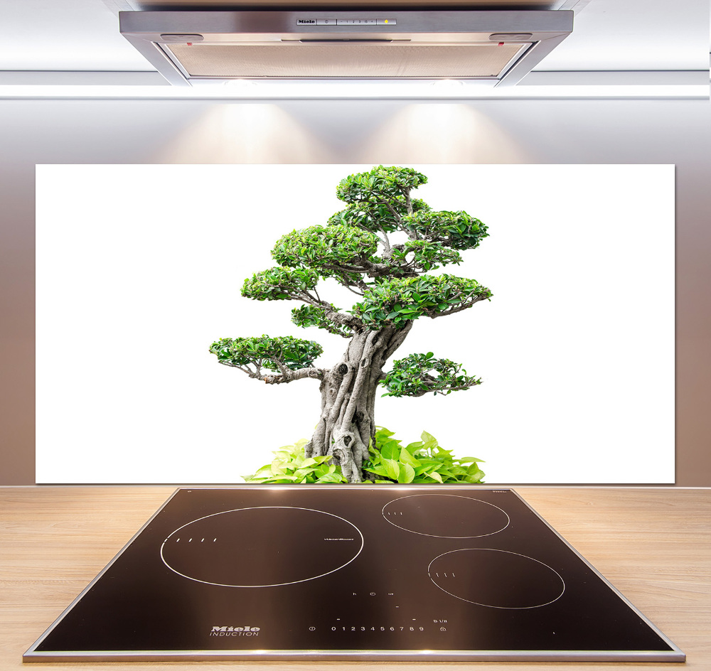 Panel do kuchni Drzewo bonsai
