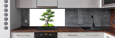 Panel do kuchni Drzewo bonsai