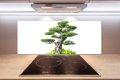 Panel do kuchni Drzewo bonsai