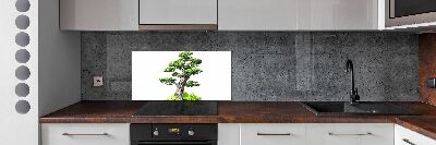 Panel do kuchni Drzewo bonsai