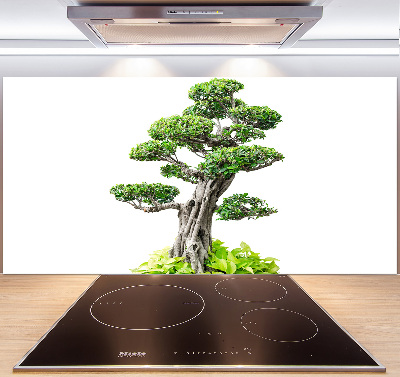 Panel do kuchni Drzewo bonsai