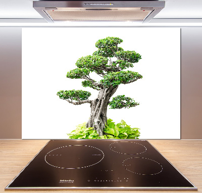 Panel do kuchni Drzewo bonsai