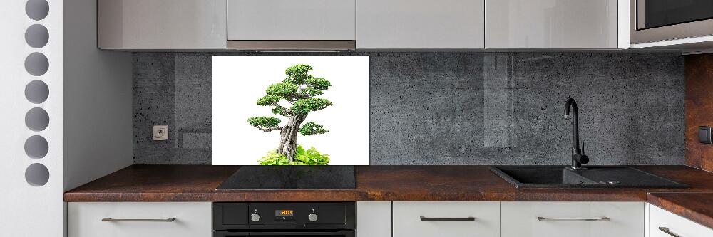Panel do kuchni Drzewo bonsai