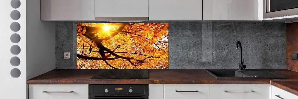 Panel lacobel Korona drzew jesień
