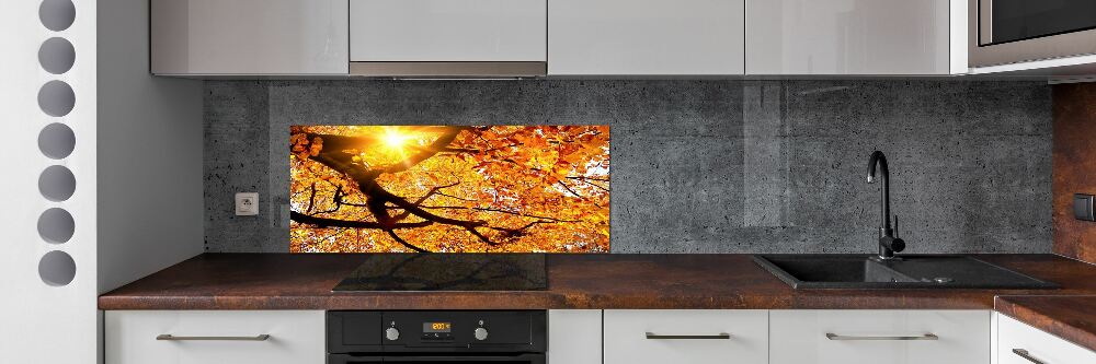 Panel lacobel Korona drzew jesień