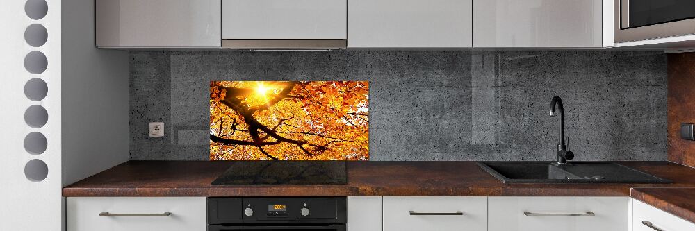 Panel lacobel Korona drzew jesień
