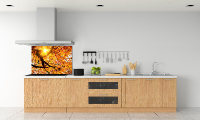 Panel lacobel Korona drzew jesień