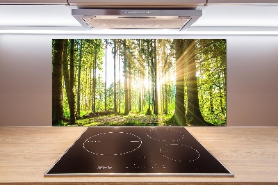 Panel dekor szkło Las w słońcu