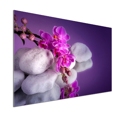 Panel między meble w kuchni Orchidea