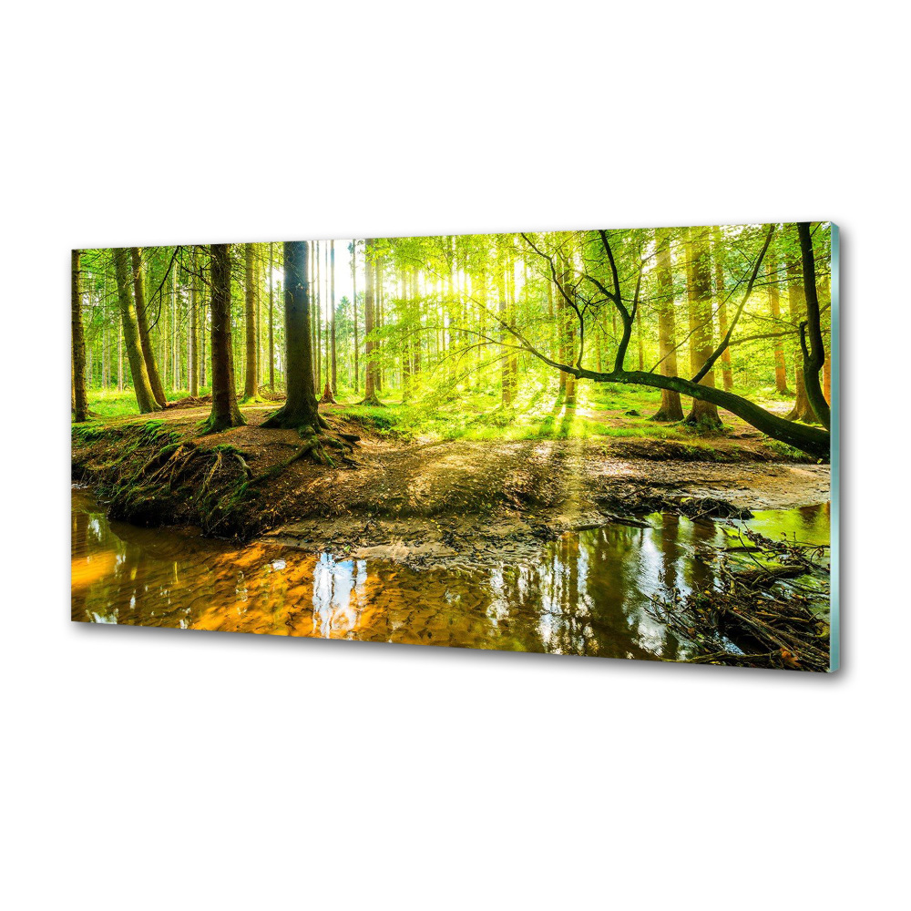 Panel do kuchni Sadzawka w lesie