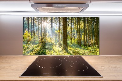 Panel dekor szkło Las w słońcu