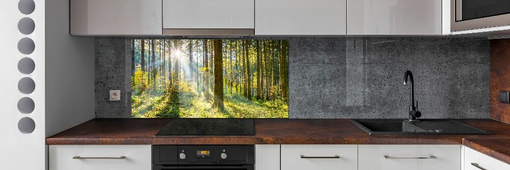 Panel dekor szkło Las w słońcu