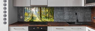 Panel dekor szkło Las w słońcu