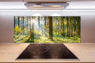 Panel dekor szkło Las w słońcu