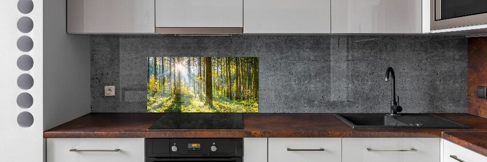Panel dekor szkło Las w słońcu