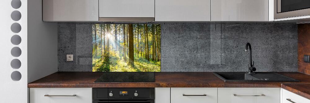 Panel dekor szkło Las w słońcu